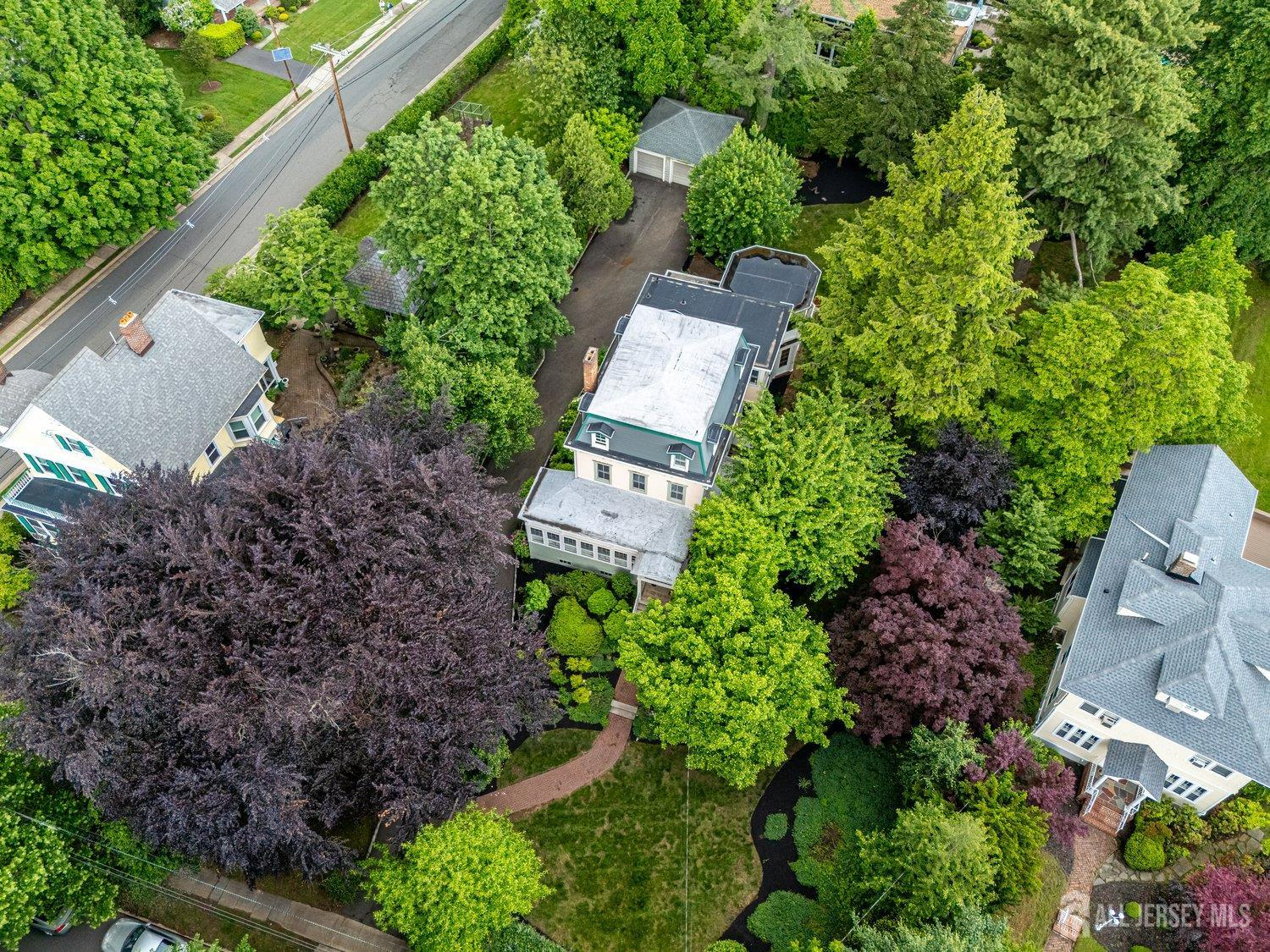44 Rector Street, Metuchen, New Jersey image 19