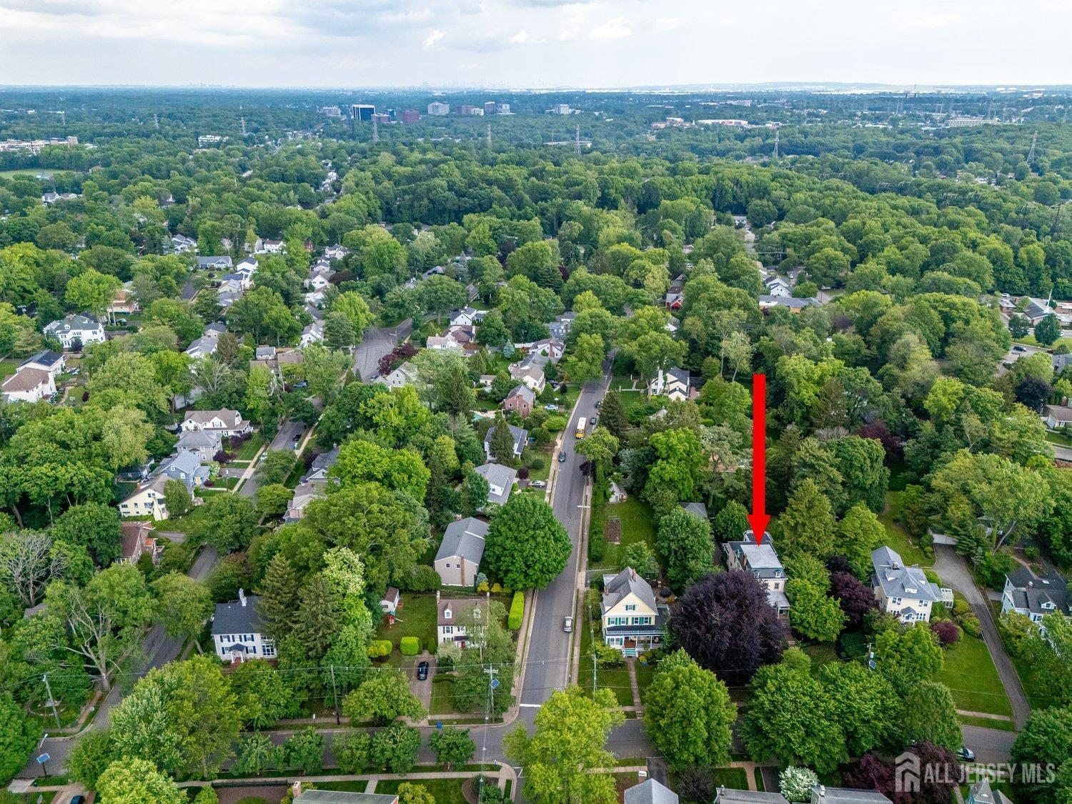 44 Rector Street, Metuchen, New Jersey image 24