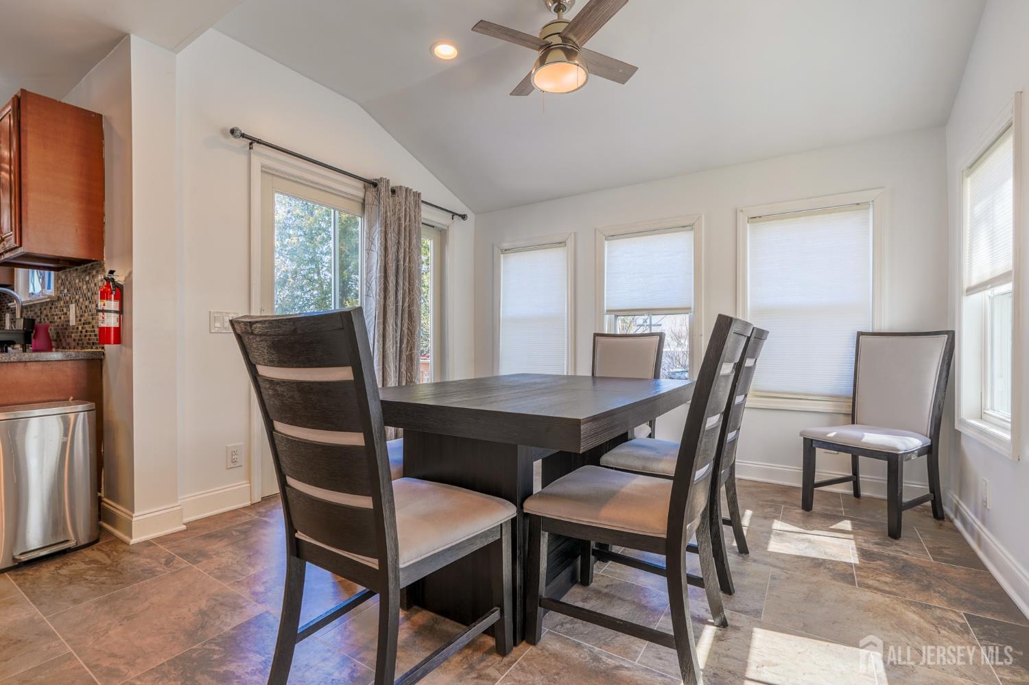 253 Prospect Avenue, Dunellen, New Jersey image 9