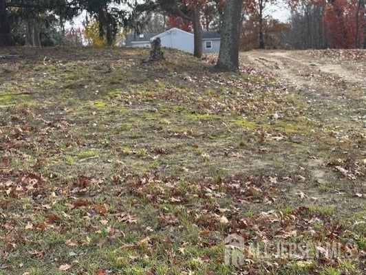 1207 MARLBORO RD, OLD BRIDGE, NJ 08857 - Image e1af9b481f0205d39ecd29023a19b4f1/941516167