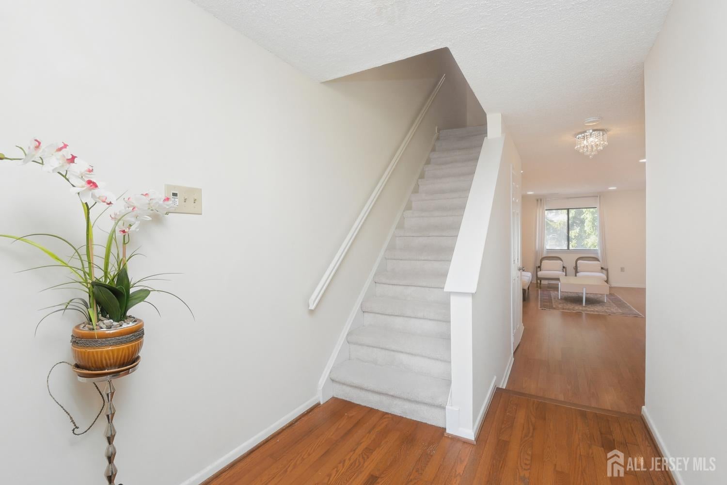 241 Hampshire Drive