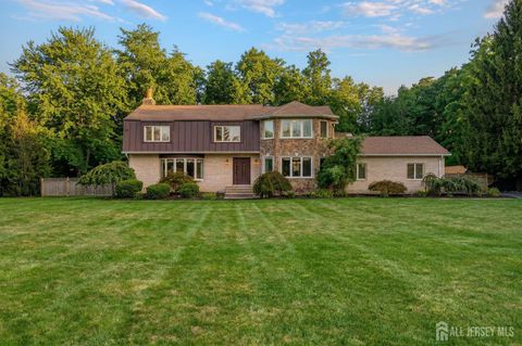 Homes For Sale - 262 Skyline Drive<br/> Morris County, Long Hill, NJ 07946