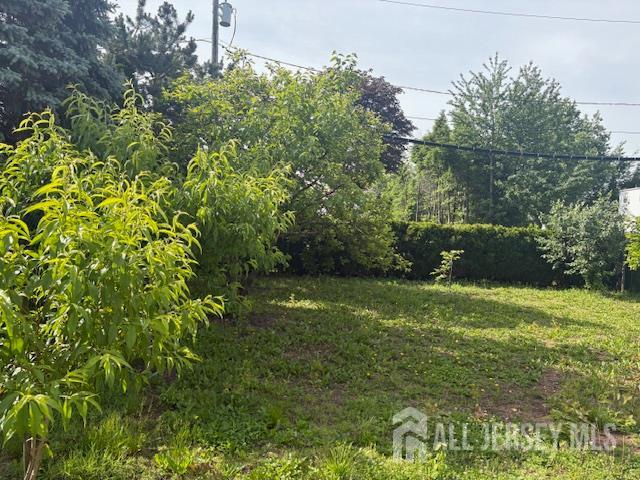 1909 Hamilton Boulevard, South Plainfield, New Jersey image 41