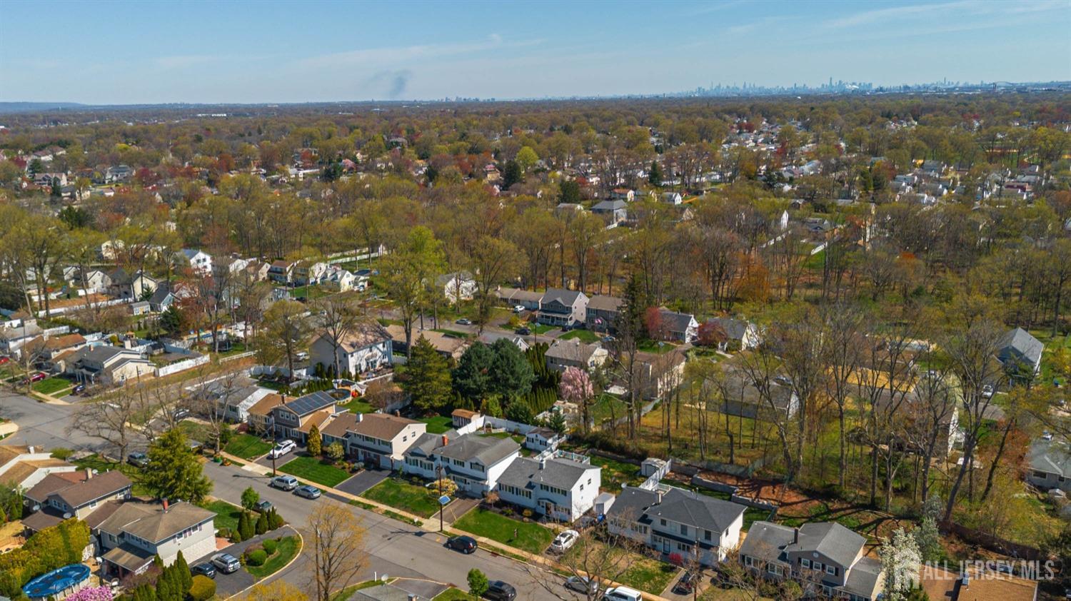 76 Cypress Drive, Colonia, New Jersey image 29