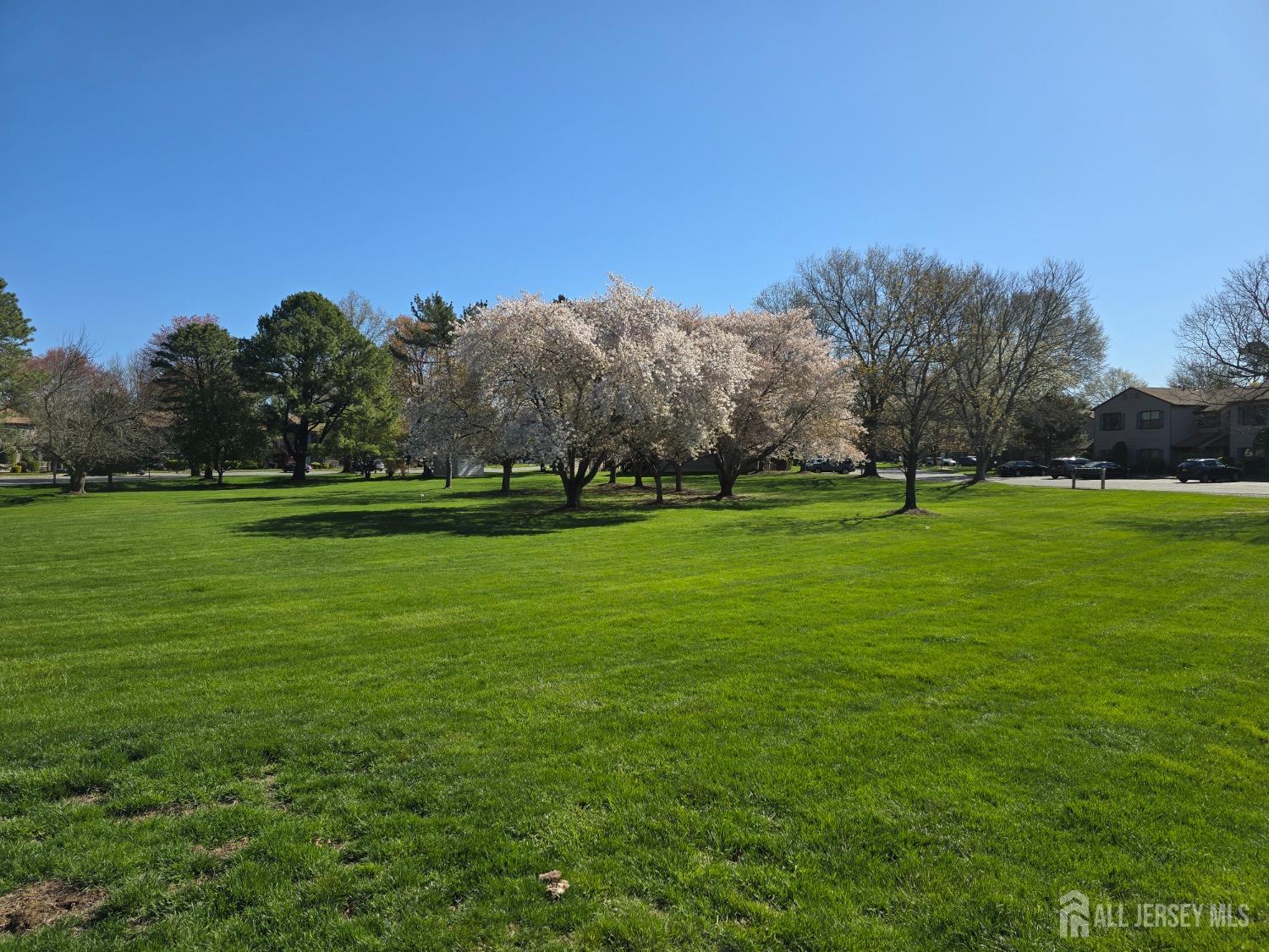50 Pheasant Run, Edison, New Jersey image 3