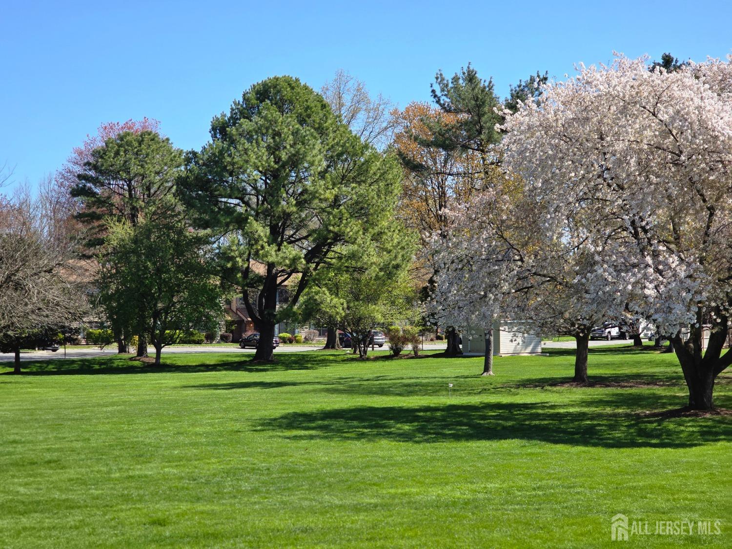 50 Pheasant Run, Edison, New Jersey image 7