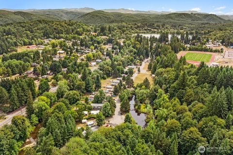 Photo of 1105 Riverside Drive Dr, Vernonia, OR 97064 (MLS # 2486330)