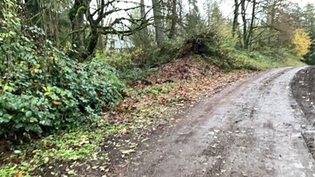 Photo of 29280 NE 189th Street, Duvall, WA 98019 (MLS # 2486353)