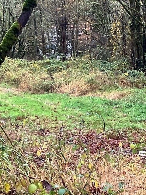 Photo of 29280 NE 189th Street, Duvall, WA 98019 (MLS # 2486353)