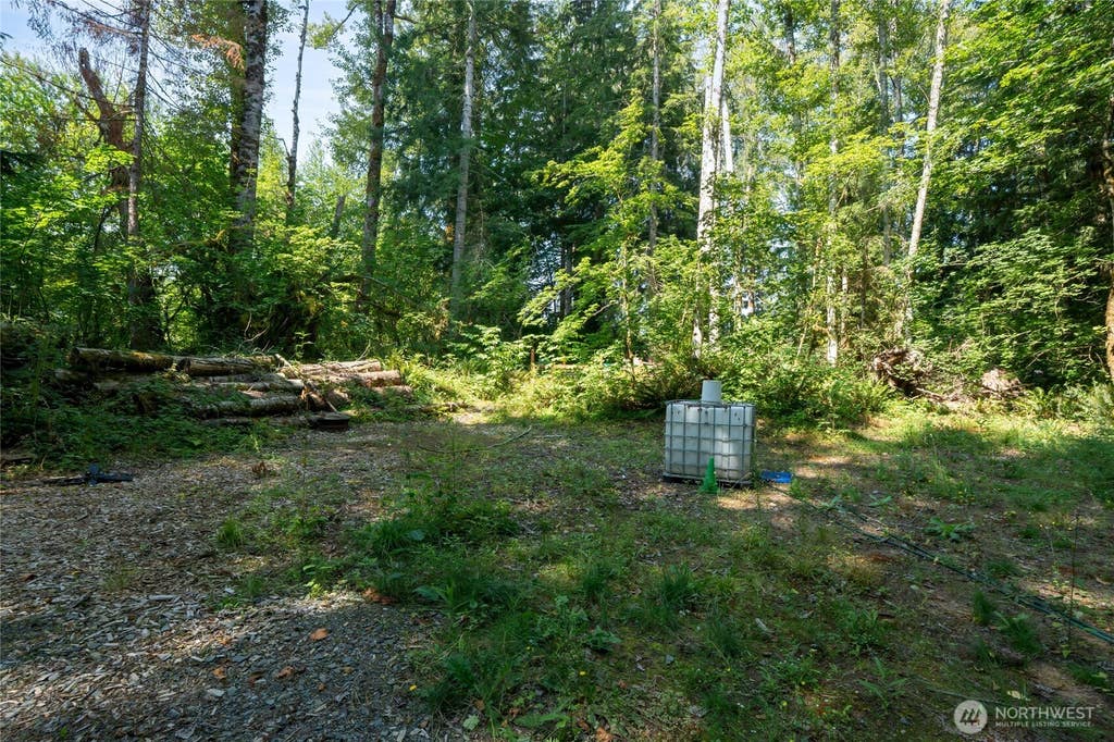 Photo of 54982 214th Avenue E, Elbe, WA 98330 (MLS # 2568742)
