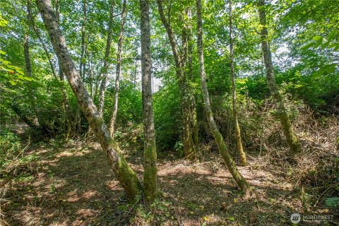 0 Lake Mastie Road Coupeville WA 98239