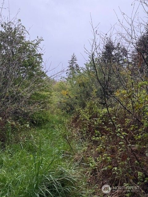 Photo of 8 NKA Katherine Street, Port Townsend, WA 98368 (MLS # 2504436)