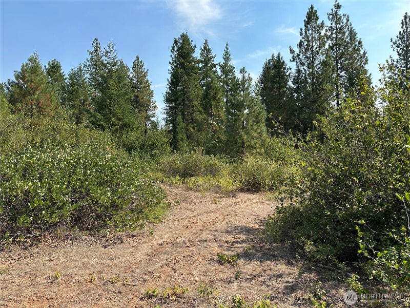 2 Cedar Monument Road