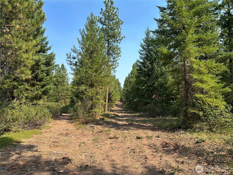 2 Cedar Monument Road