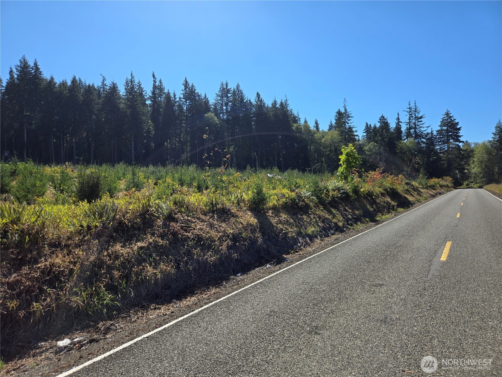0 Wishkah Road