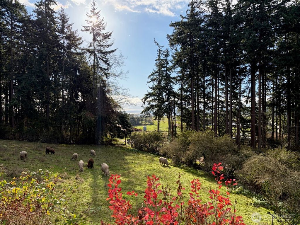 Photo of 651 Long Ears Way, Coupeville, WA 98239 (MLS # 2462883)