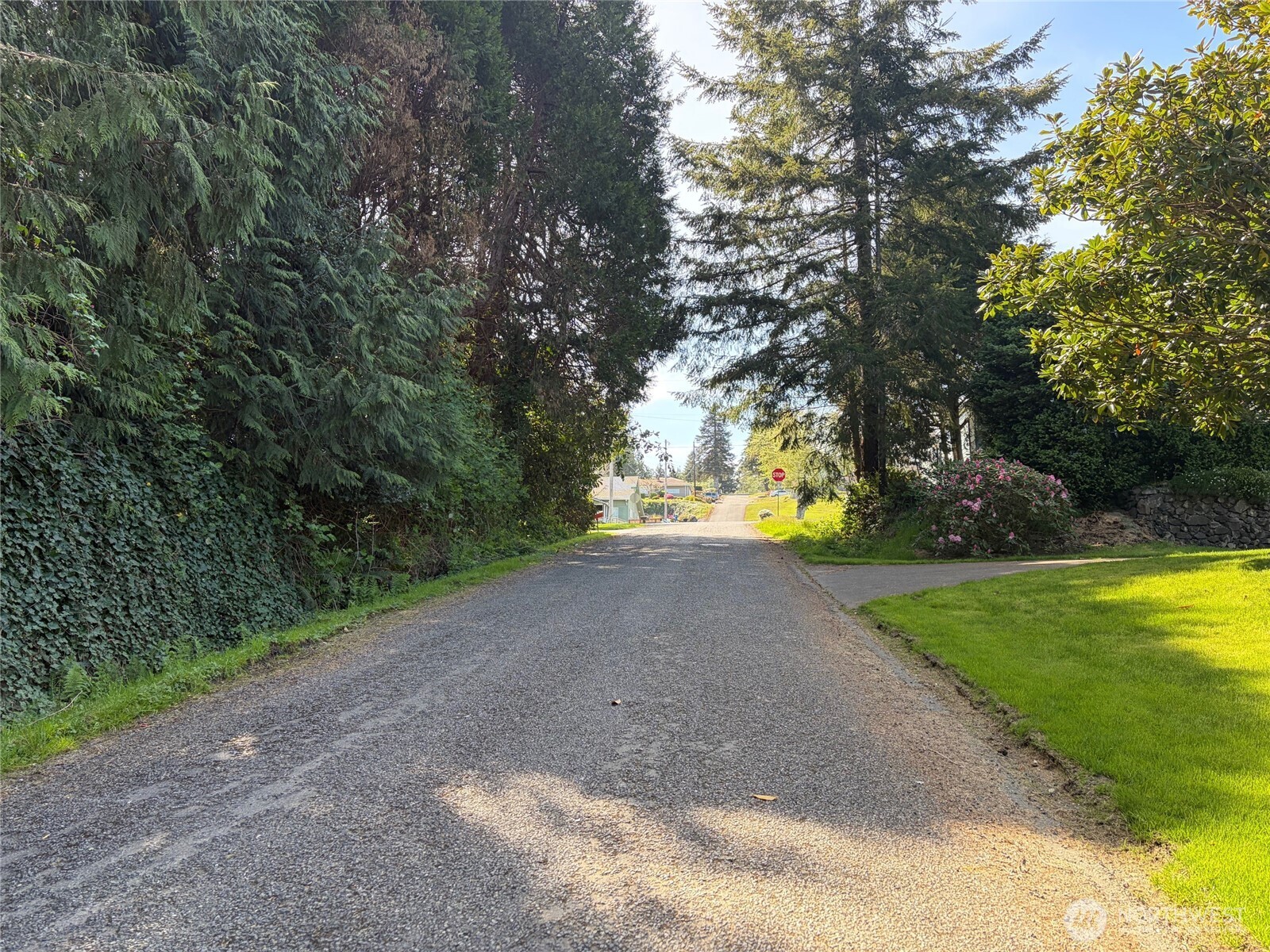 1110 Olympic View Way