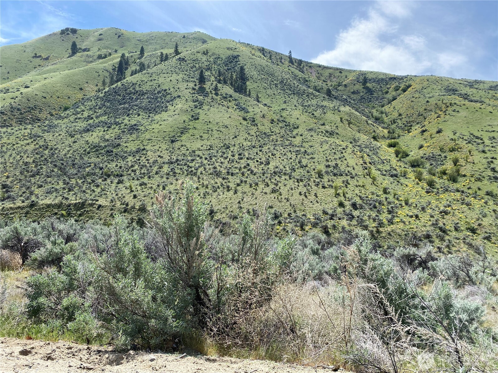 1585 Pitcher Canyon Road