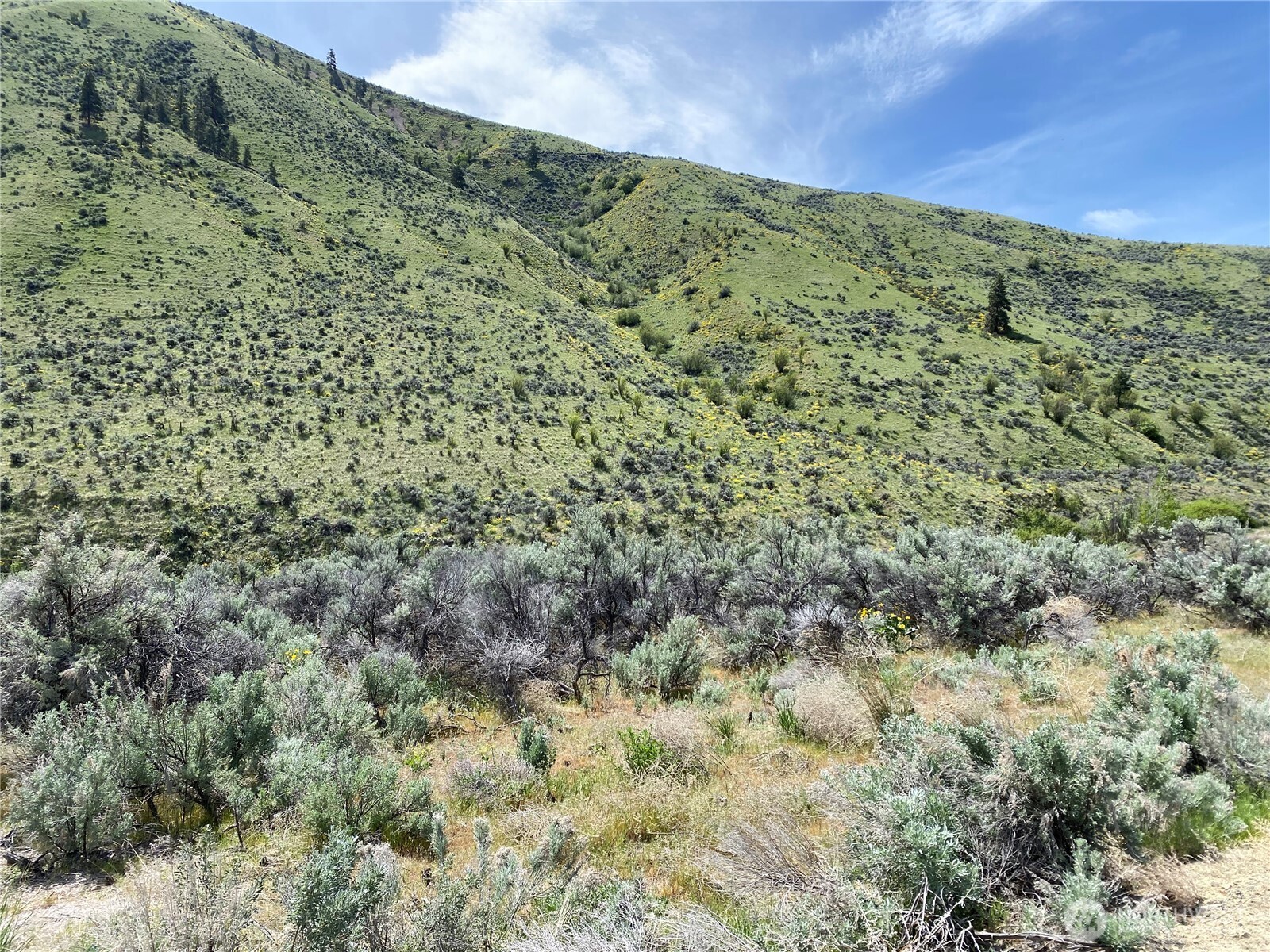 1585 Pitcher Canyon Road