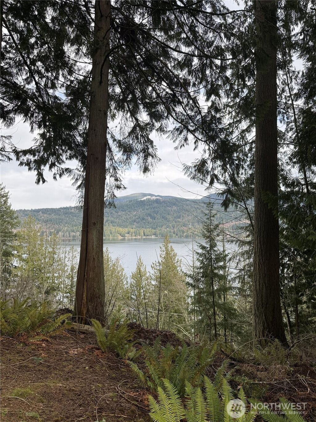 Photo of 11 Autumn Vista Place, Bellingham, WA 98229 (MLS # 2483957)