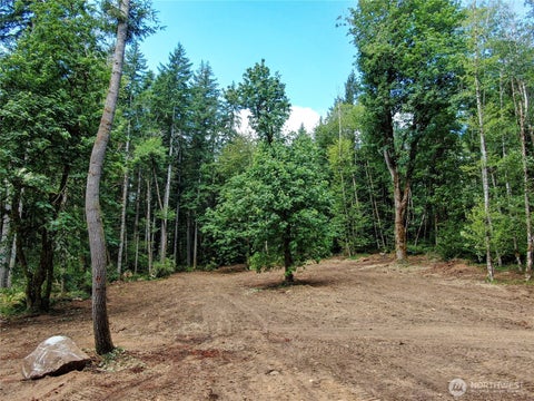 Photo of 8720 Stoney Creek Lane SW, Olympia, WA 98512 (MLS # 2545603)