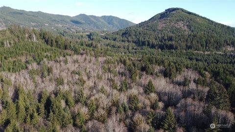 Photo of 999 Grant Road, Beaver, WA 98305 (MLS # 2322329)