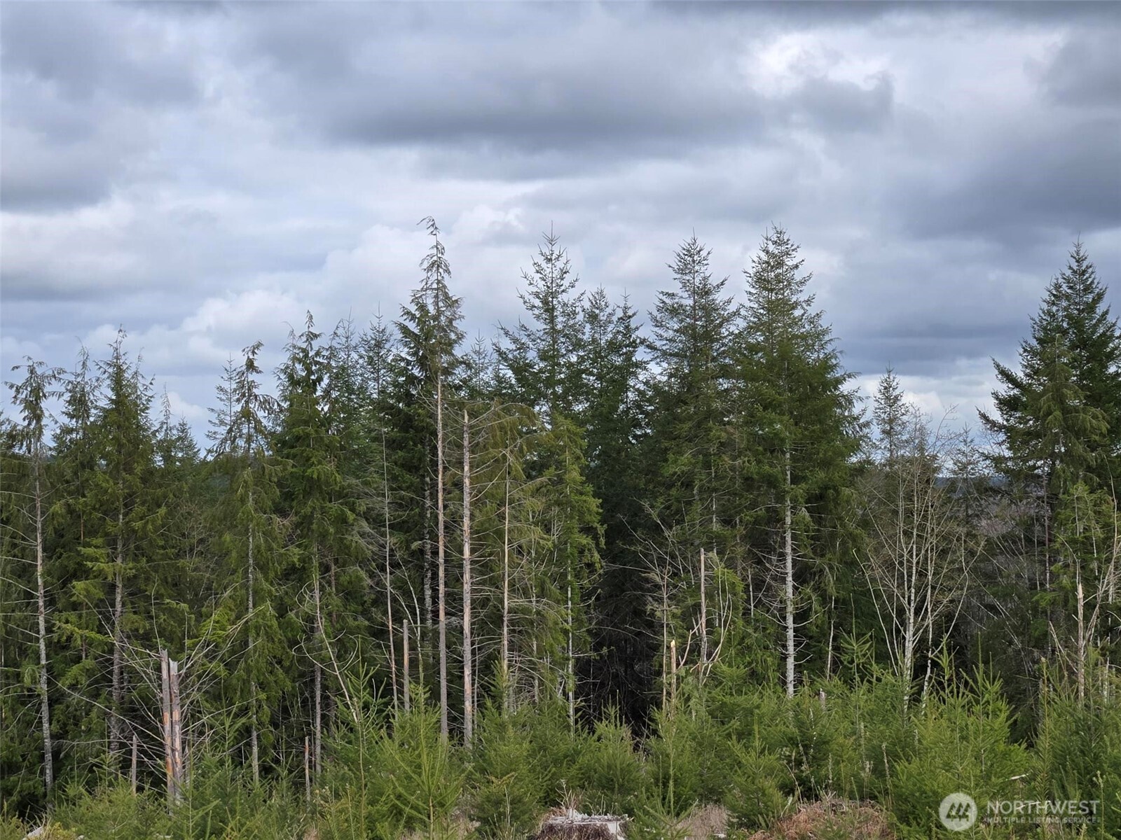 0 Hoquiam Wishkah Road