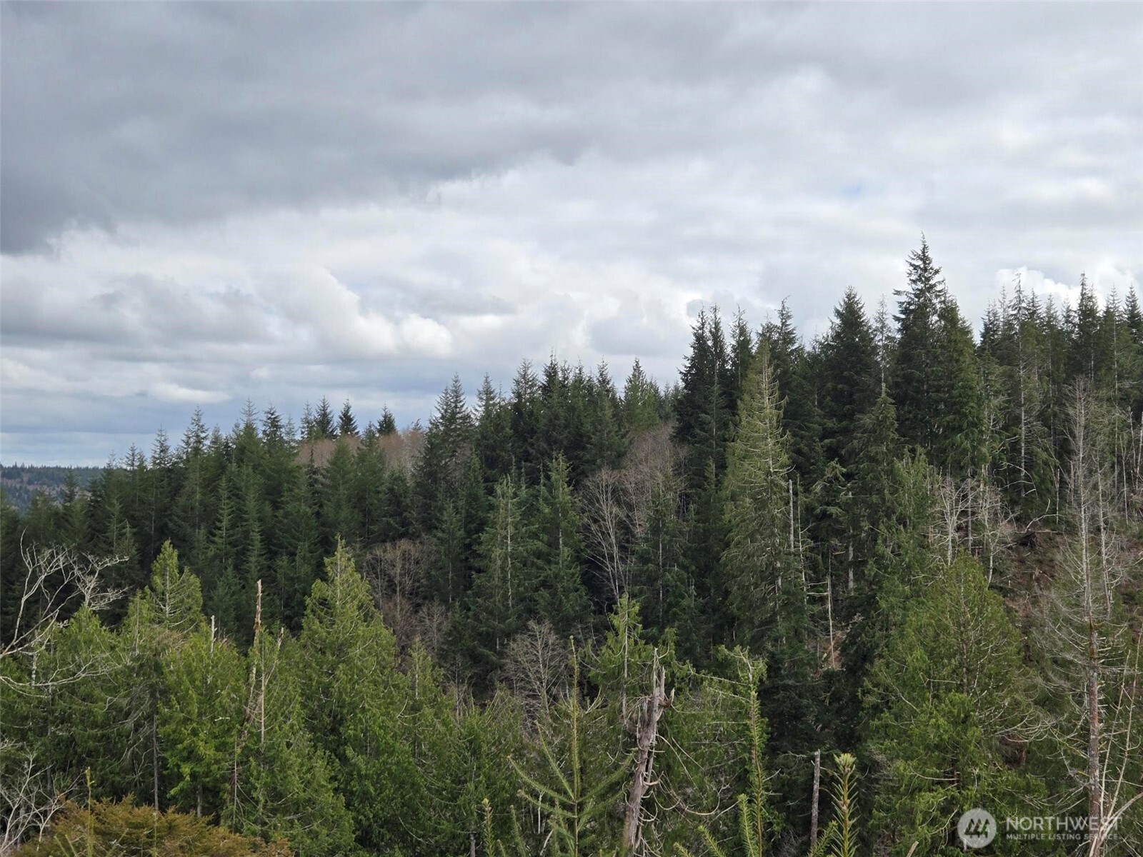 0 Hoquiam Wishkah Road