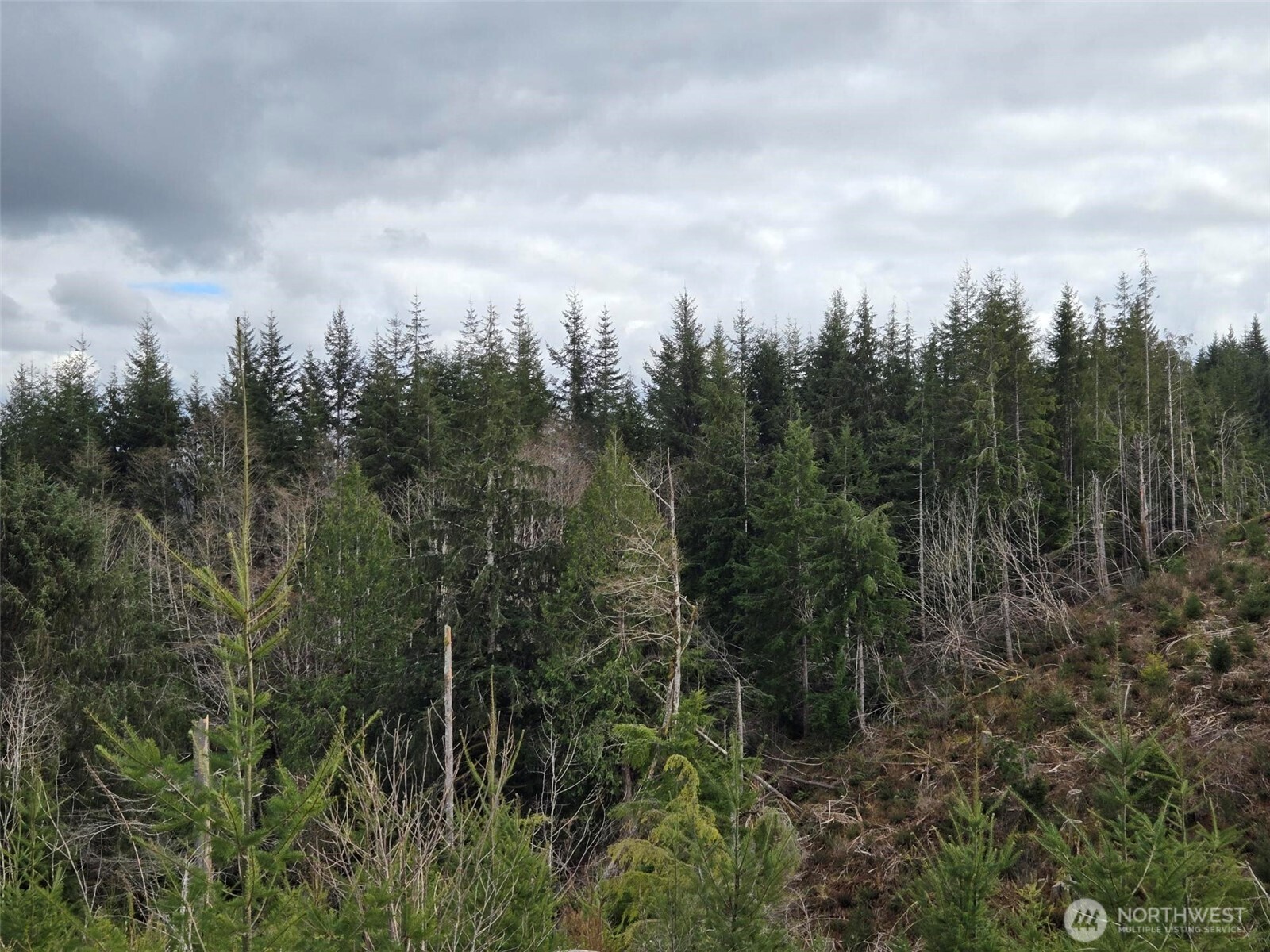 0 Hoquiam Wishkah Road