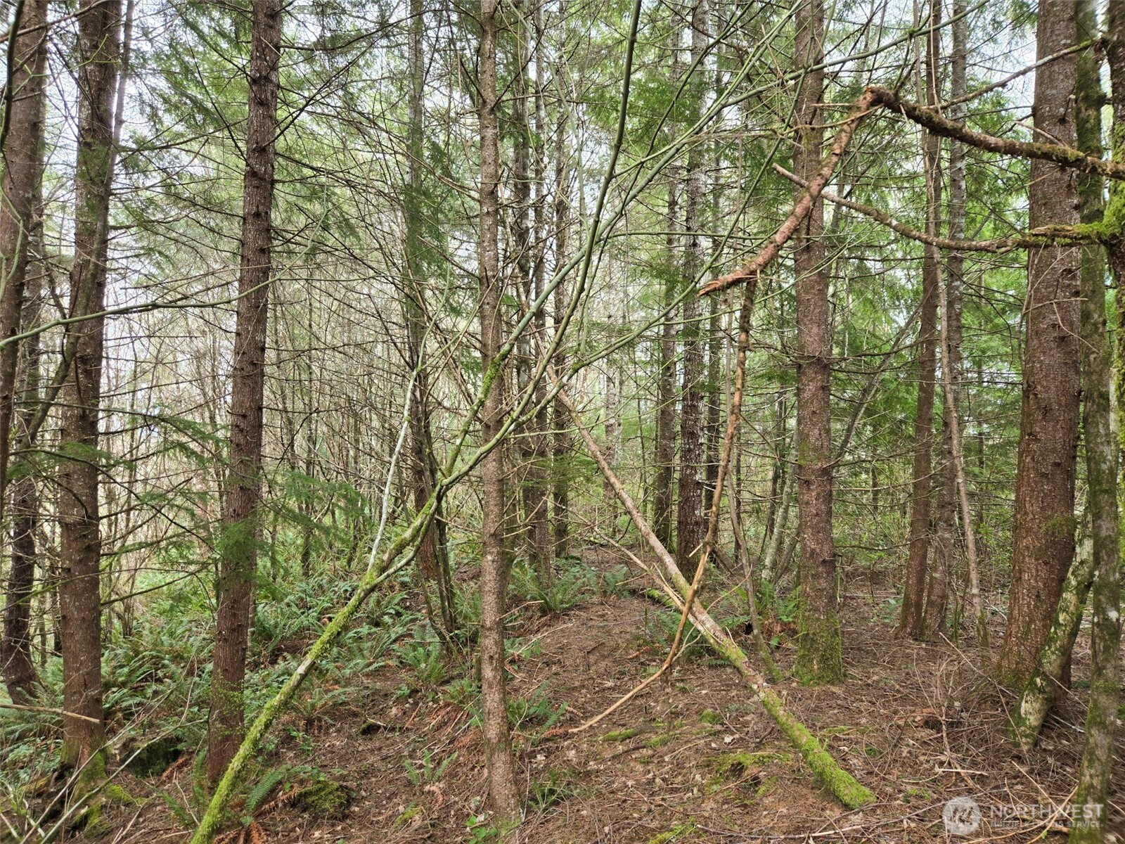 0 Hoquiam Wishkah Road