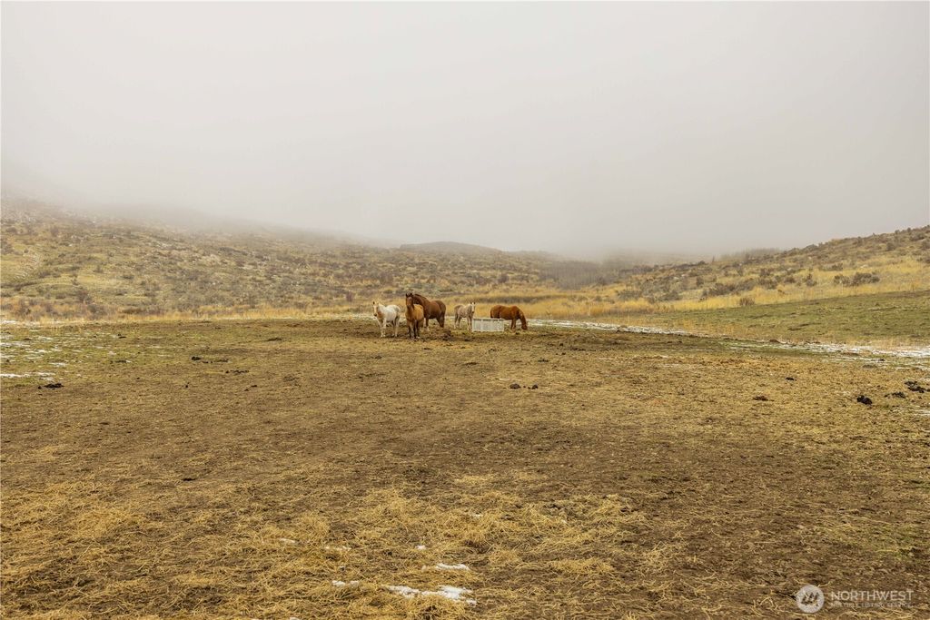 Photo of 12 Charlie Drive, Pateros, WA 98846 (MLS # 2459386)