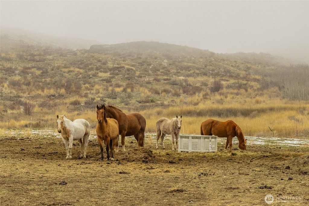 Photo of 12 Charlie Drive, Pateros, WA 98846 (MLS # 2459386)