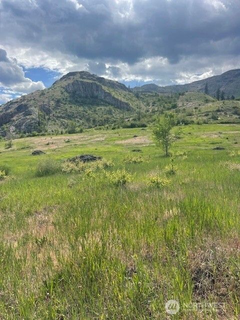 Photo of 2 Lot 2 Black Canyon Road, Pateros, WA 98846 (MLS # 2513101)