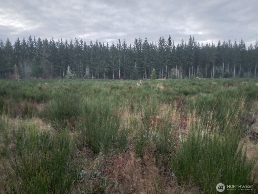 Photo of 28590 Kent Kangley, Ravensdale, WA 98051 (MLS # 2456973)