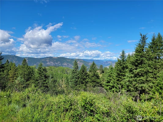 29 YELLOW BRICK RD, CURLEW, WA 99118 - Image 014ec380bfff68678fb5396d5becc740/1698088694