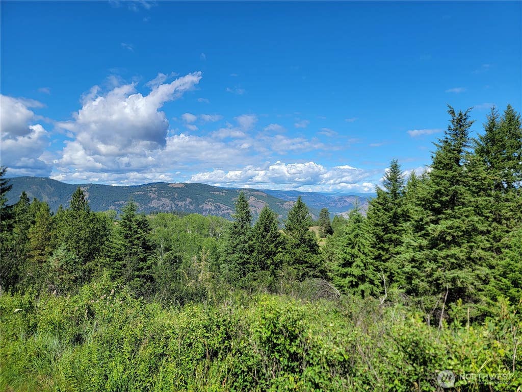 Photo of 29 Yellow Brick Road, Republic, WA 99166 (MLS # 2564047)