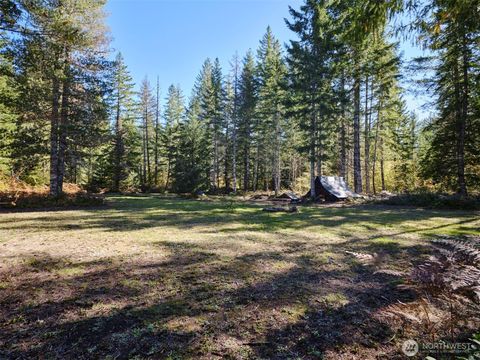 Photo of 2 A Lahar Lane, Cougar, WA 98616 (MLS # 2448213) Photo of 2 A Lahar Lane, Cougar, WA 98616 (MLS # 2448213)