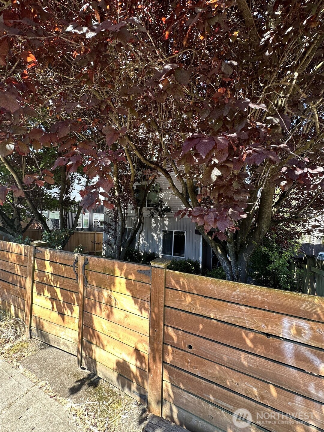 10511 Midvale Avenue N 202