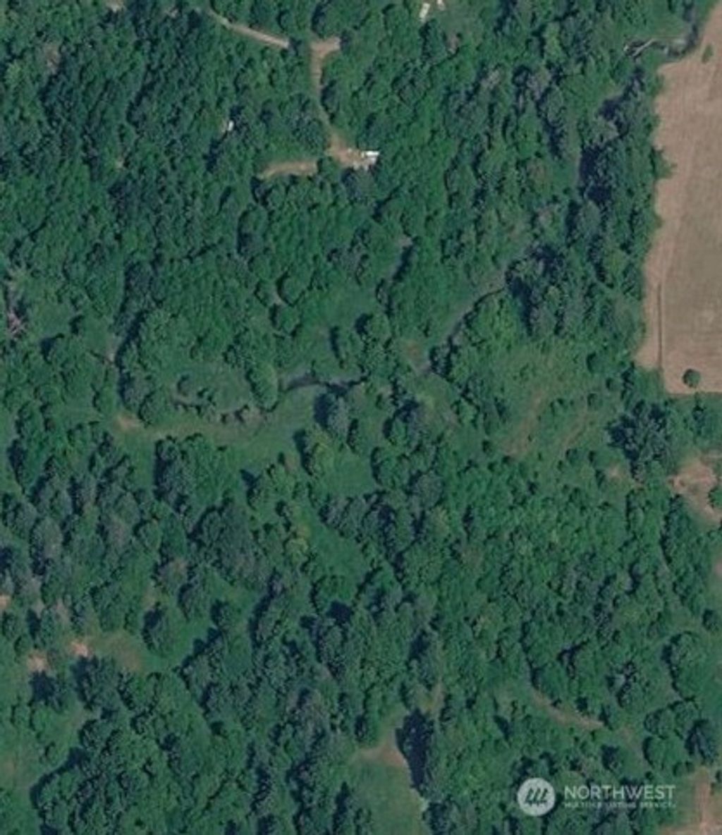Photo of 0 Cedar Grove Road, Randle, WA 98377 (MLS # 2532247)