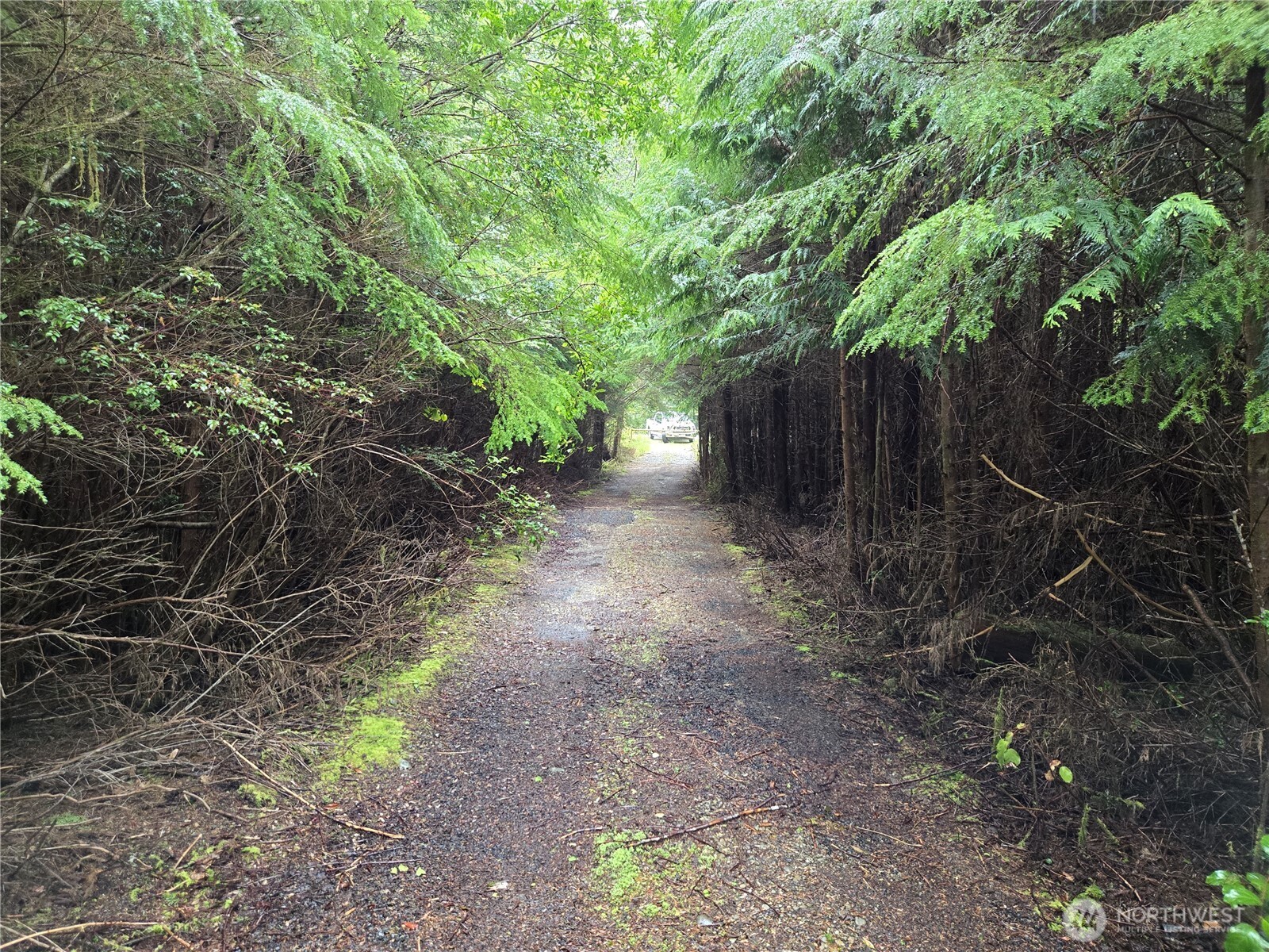 3183 Ocean Beach Road