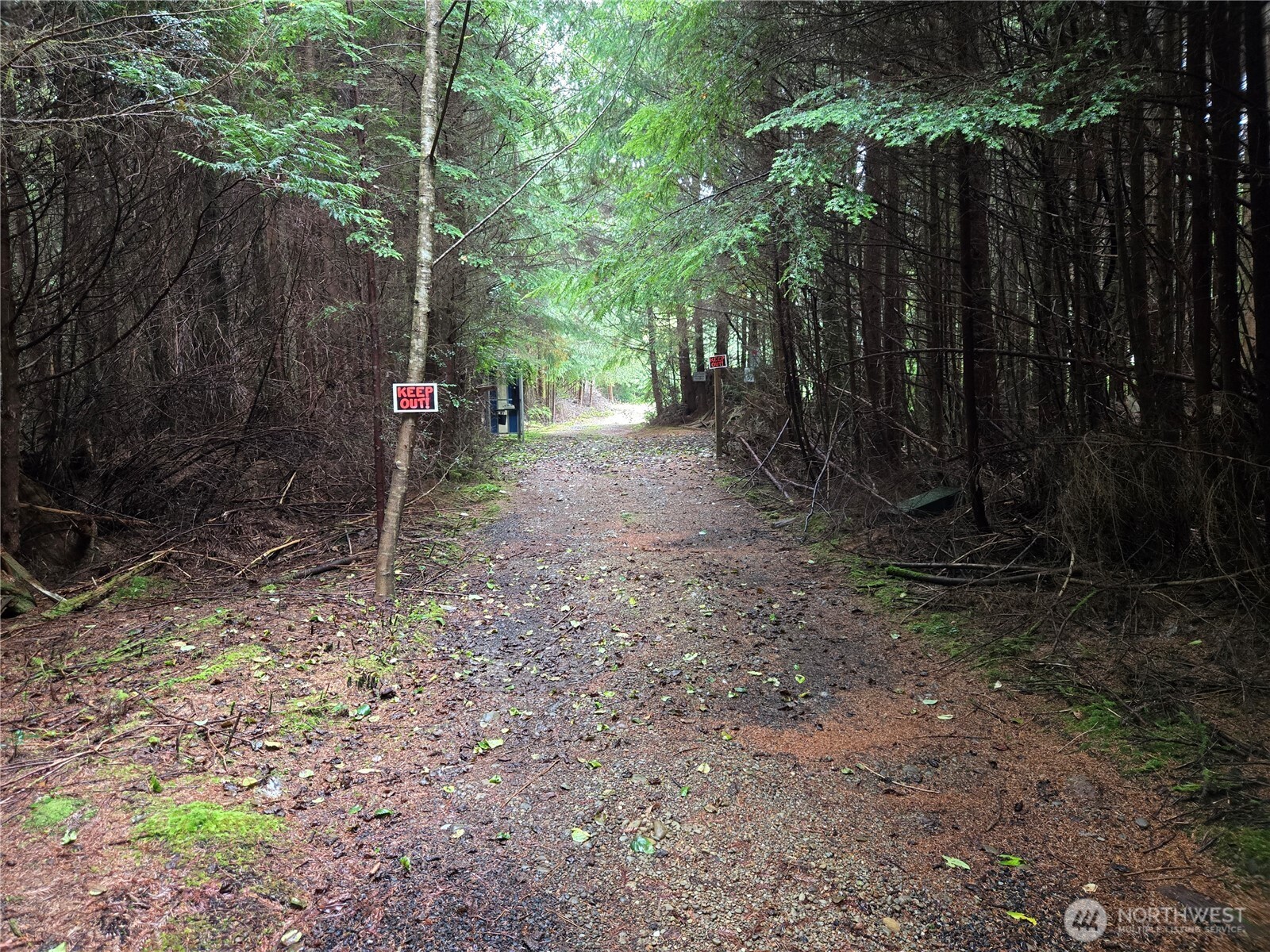 3183 Ocean Beach Road