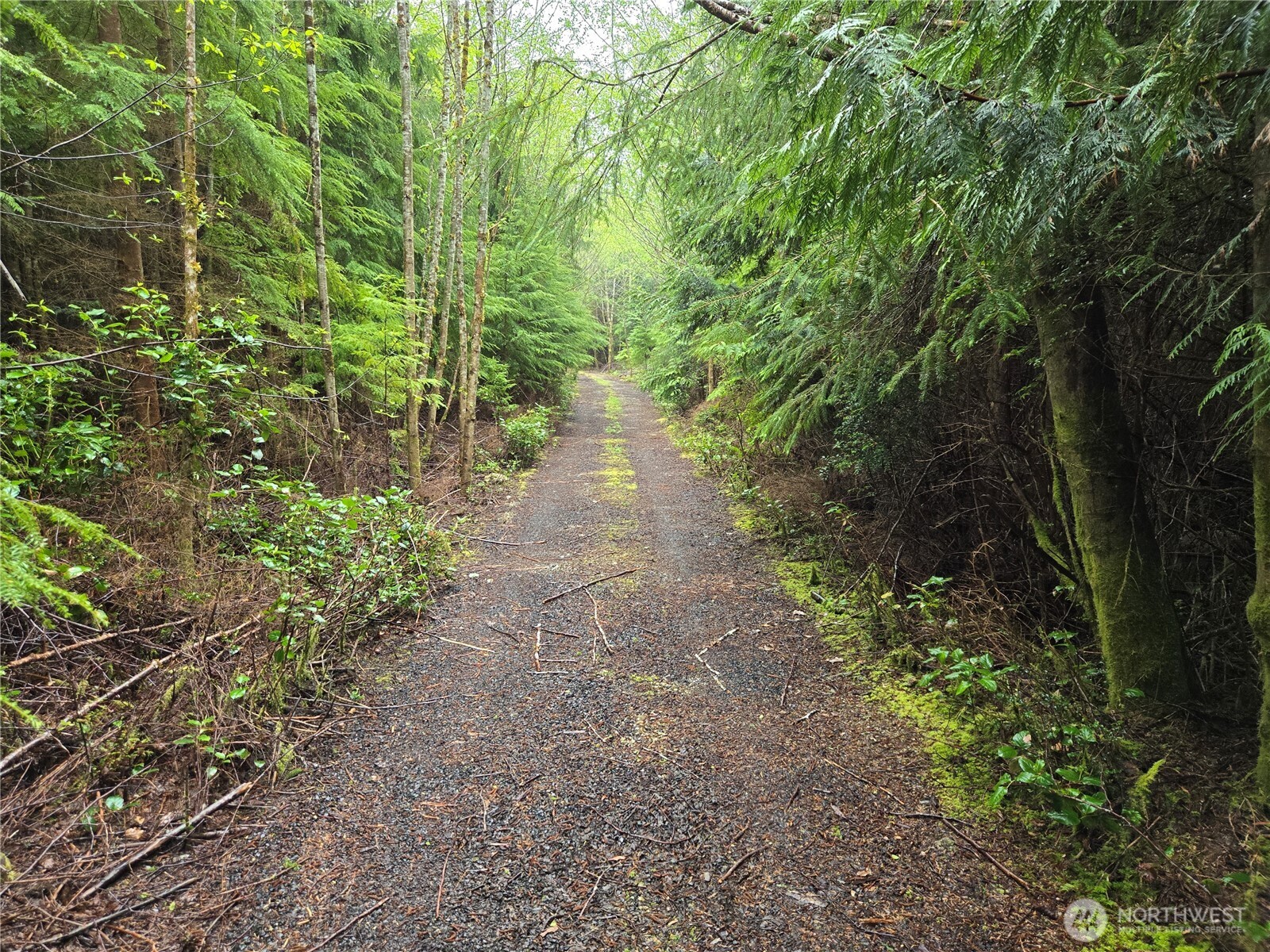 3183 Ocean Beach Road