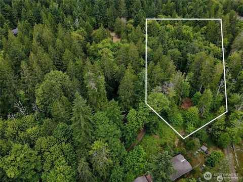 Photo of 101 N Arnolds Way, Hoodsport, WA 98548 (MLS # 2460736)