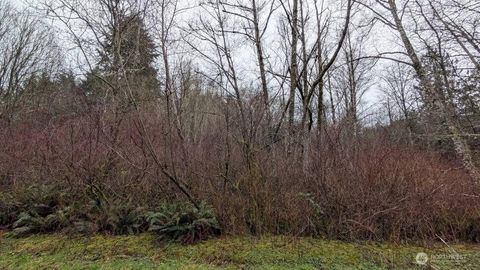 0 NE Lovgreen Road Bainbridge Island WA 98110