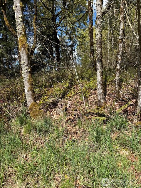 Photo of 5838 Octava Court SW, Olympia, WA 98513 (MLS # 2508878)