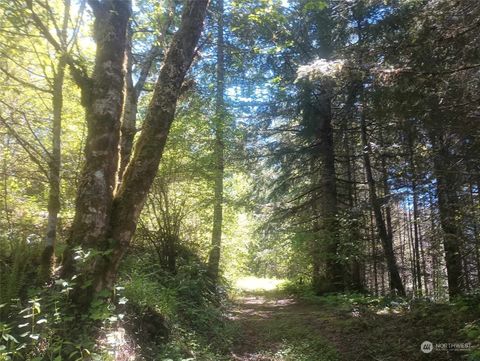 0 Buck Drive Randle WA 98377