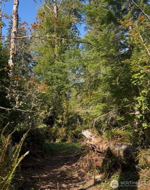 0 Cascade Lane Eatonville WA 98328