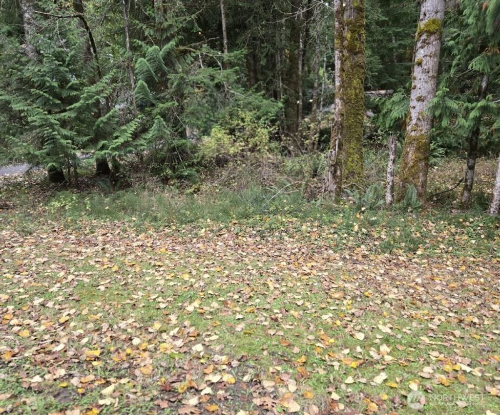 Photo of 8 Huckleberry Court, Bellingham, WA 98229 (MLS # 2448041)