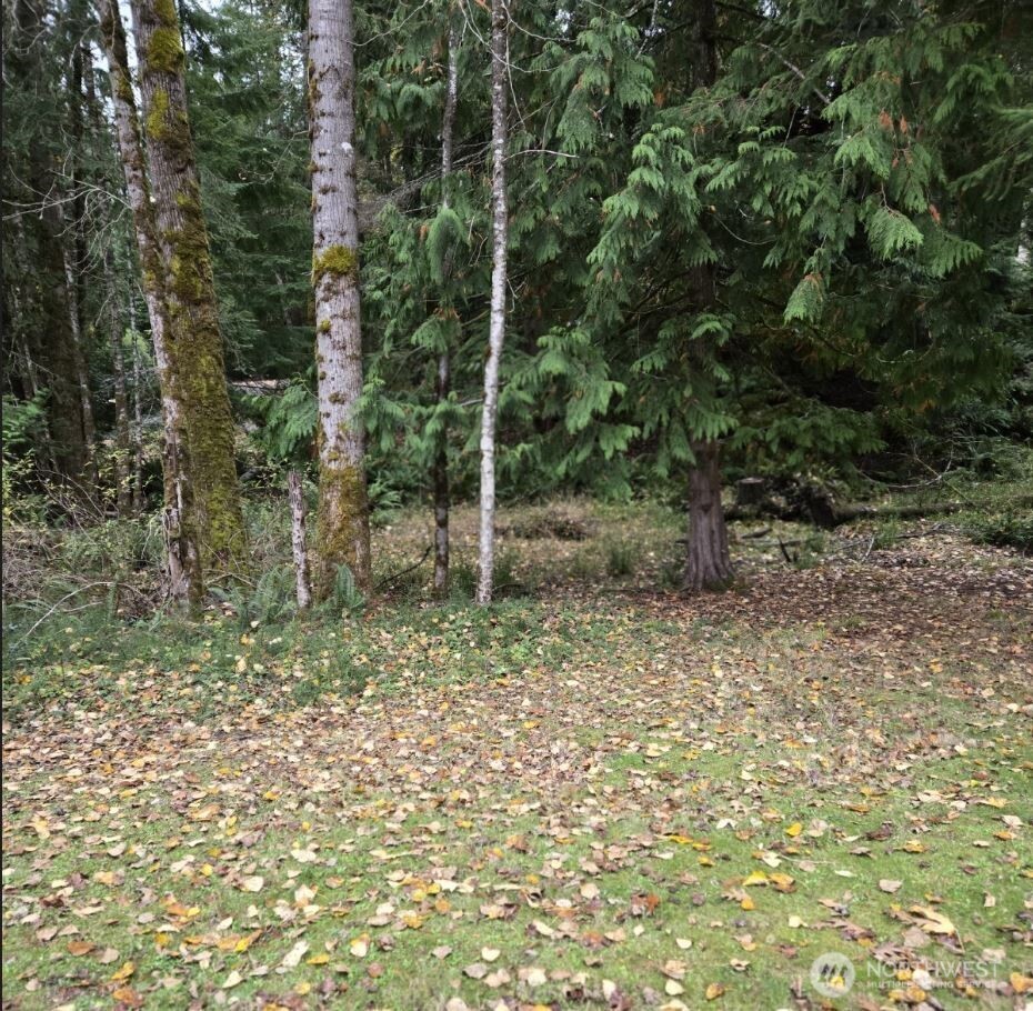 8 Huckleberry Court