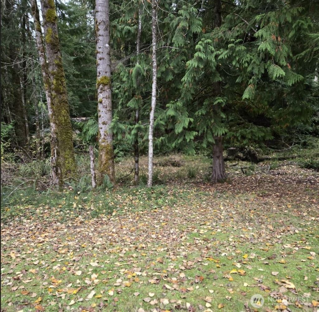 Photo of 8 Huckleberry Court, Bellingham, WA 98229 (MLS # 2448041)